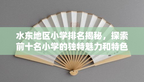 水東地區(qū)小學(xué)排名揭秘，探索前十名小學(xué)的獨(dú)特魅力和特色教育之路