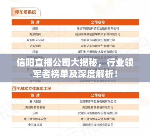 信陽直播公司大揭秘，行業(yè)領軍者榜單及深度解析！