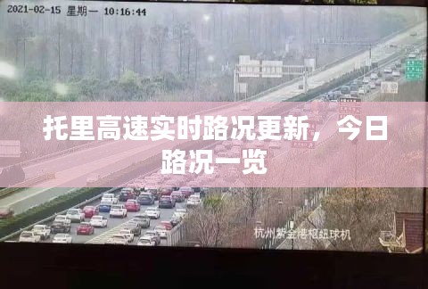 百鳥(niǎo)爭(zhēng)鳴 第3頁(yè)