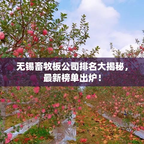 無錫畜牧板公司排名大揭秘，最新榜單出爐！