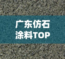 廣東仿石涂料TOP10排行榜，品質(zhì)之選一網(wǎng)打盡！