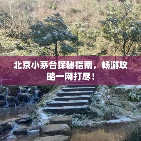 北京小茅臺探秘指南，暢游攻略一網打盡！