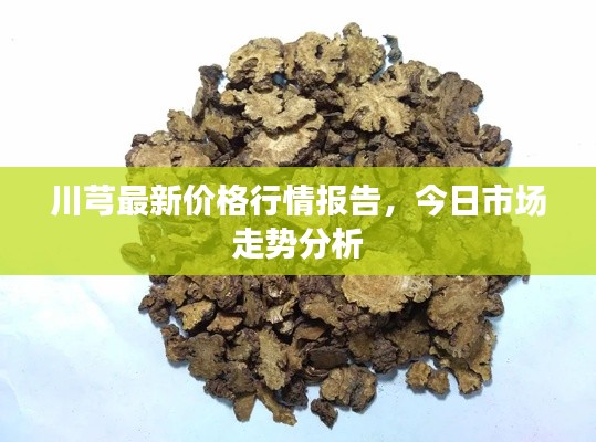 川芎最新價格行情報告，今日市場走勢分析