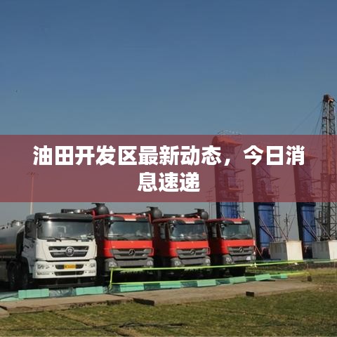 油田開(kāi)發(fā)區(qū)最新動(dòng)態(tài)，今日消息速遞