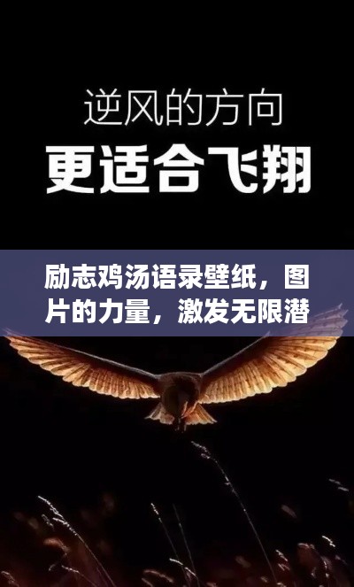勵(lì)志雞湯語錄壁紙，圖片的力量，激發(fā)無限潛能