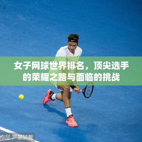 女子網(wǎng)球世界排名，頂尖選手的榮耀之路與面臨的挑戰(zhàn)