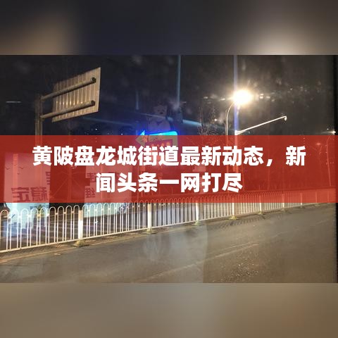 黃陂盤龍城街道最新動態(tài)，新聞頭條一網(wǎng)打盡