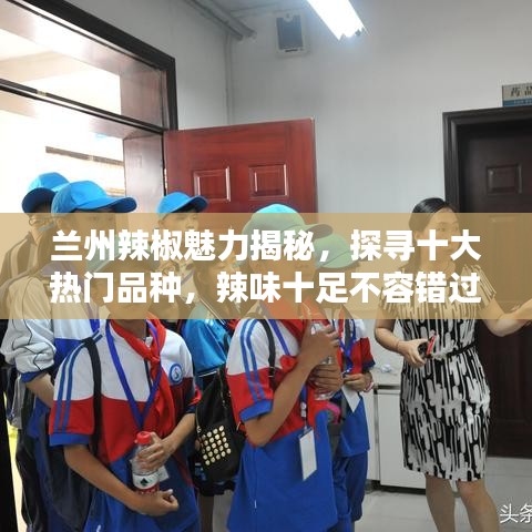 蘭州辣椒魅力揭秘，探尋十大熱門品種，辣味十足不容錯過