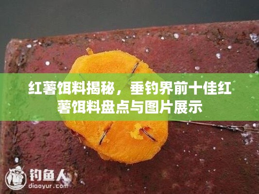 紅薯餌料揭秘，垂釣界前十佳紅薯餌料盤點(diǎn)與圖片展示