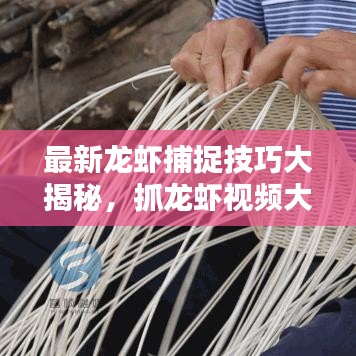 最新龍蝦捕捉技巧大揭秘，抓龍蝦視頻大全，體驗(yàn)樂趣無限！