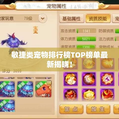 敏捷類寵物排行榜TOP榜單最新揭曉！