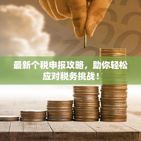 最新個稅申報(bào)攻略，助你輕松應(yīng)對稅務(wù)挑戰(zhàn)！