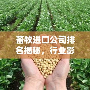 畜牧進口公司排名揭秘，行業(yè)影響力深度解析