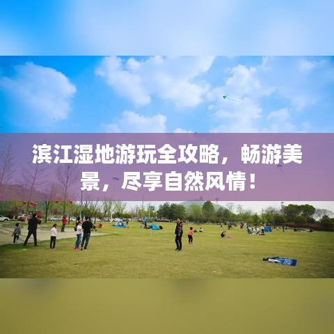 濱江濕地游玩全攻略，暢游美景，盡享自然風情！