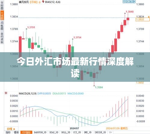 今日外匯市場最新行情深度解讀