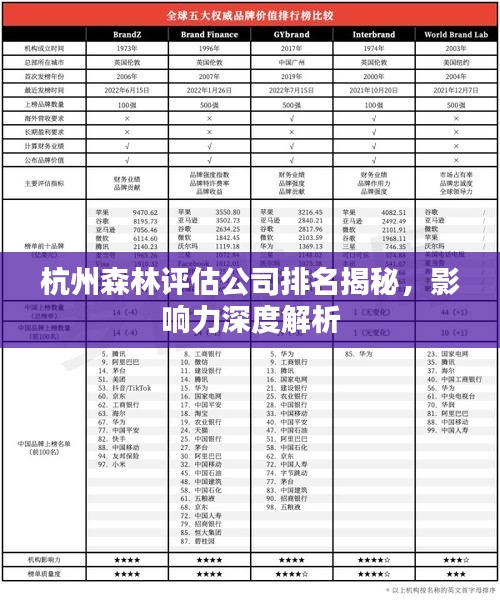 杭州森林評估公司排名揭秘，影響力深度解析