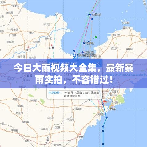 今日大雨視頻大全集，最新暴雨實拍，不容錯過！