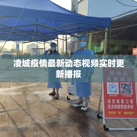 凌城疫情最新動態(tài)視頻實時更新播報