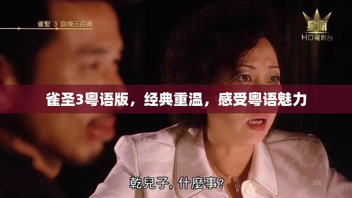 雀圣3粵語版，經(jīng)典重溫，感受粵語魅力