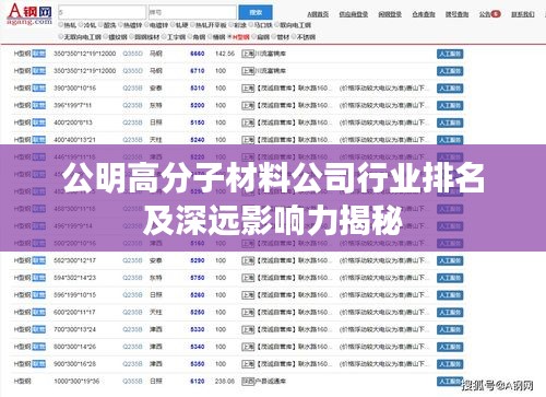 公明高分子材料公司行業(yè)排名及深遠影響力揭秘