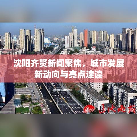 沈陽齊賢新聞聚焦，城市發(fā)展新動向與亮點速讀