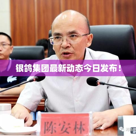 銀鴿集團最新動態(tài)今日發(fā)布！