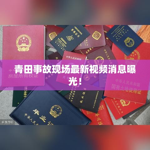 青田事故現(xiàn)場最新視頻消息曝光！