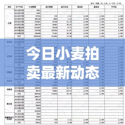 今日小麥拍賣最新動態(tài)，市場走勢及前景展望