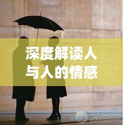 深度解讀人與人的情感連接，心心相照的魅力