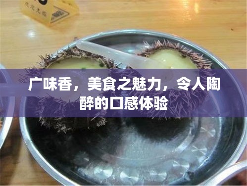 廣味香，美食之魅力，令人陶醉的口感體驗