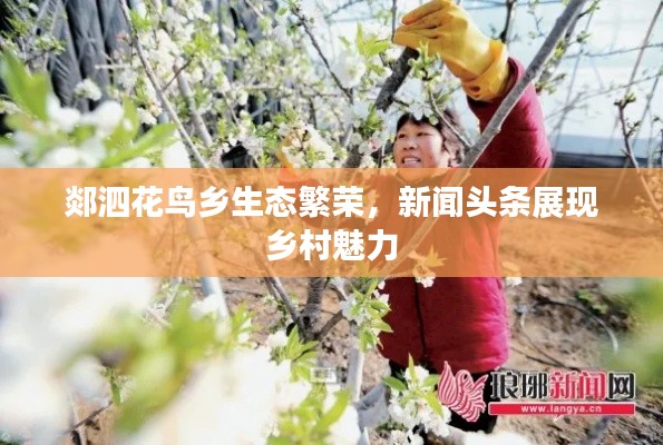 郯泗花鳥鄉(xiāng)生態(tài)繁榮，新聞頭條展現(xiàn)鄉(xiāng)村魅力