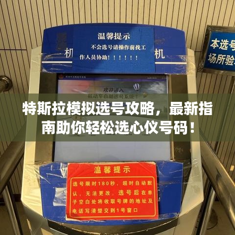 特斯拉模擬選號攻略，最新指南助你輕松選心儀號碼！