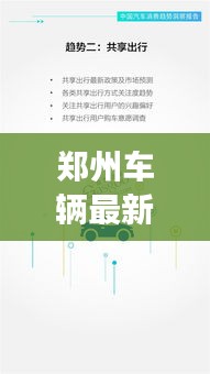 鄭州車輛最新報告揭秘，今日交通狀況全面解析
