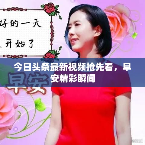 今日頭條最新視頻搶先看，早安精彩瞬間