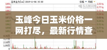 玉峰今日玉米價(jià)格一網(wǎng)打盡，最新行情查詢