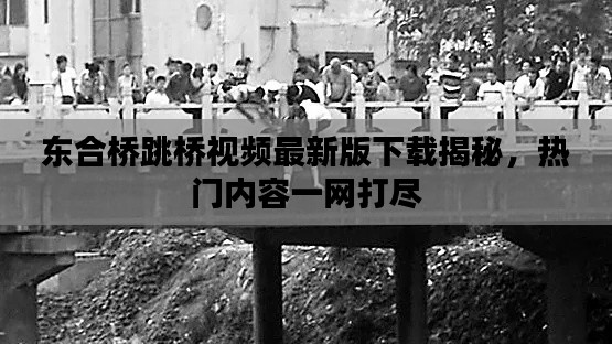 東合橋跳橋視頻最新版下載揭秘，熱門(mén)內(nèi)容一網(wǎng)打盡