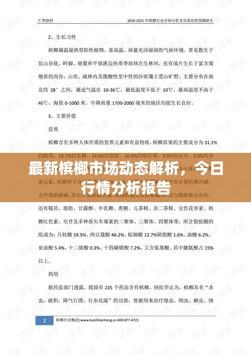 最新檳榔市場動態(tài)解析，今日行情分析報告