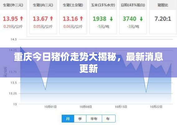 重慶今日豬價(jià)走勢大揭秘，最新消息更新