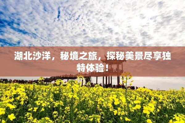 湖北沙洋，秘境之旅，探秘美景盡享獨(dú)特體驗(yàn)！