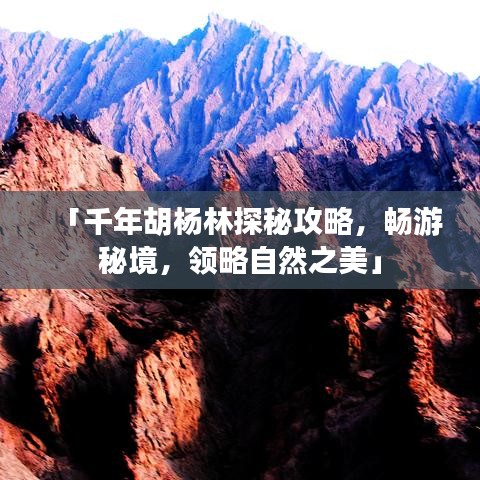 「千年胡楊林探秘攻略，暢游秘境，領(lǐng)略自然之美」