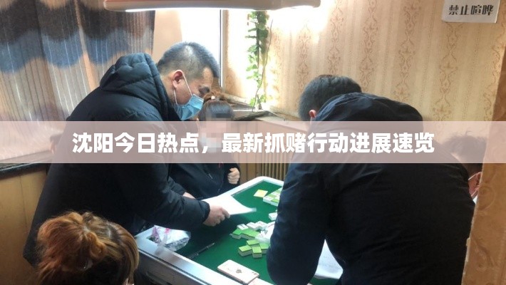 沈陽今日熱點，最新抓賭行動進展速覽