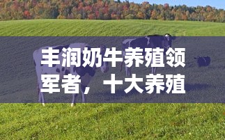 豐潤(rùn)奶牛養(yǎng)殖領(lǐng)軍者，十大養(yǎng)殖企業(yè)榮耀上榜