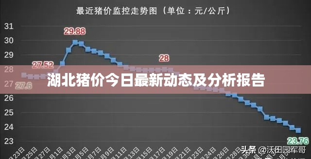 湖北豬價(jià)今日最新動(dòng)態(tài)及分析報(bào)告