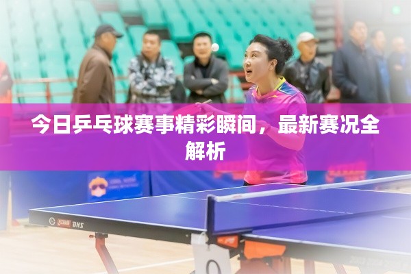 今日乒乓球賽事精彩瞬間，最新賽況全解析