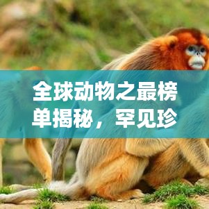 全球動物之最榜單揭秘，罕見珍稀生物震撼排名！
