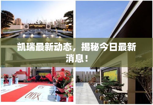 凱瑞最新動態(tài)，揭秘今日最新消息！