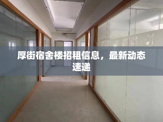 厚街宿舍樓招租信息，最新動態(tài)速遞