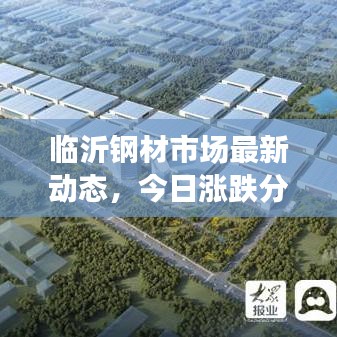 臨沂鋼材市場最新動態(tài)，今日漲跌分析與趨勢解讀