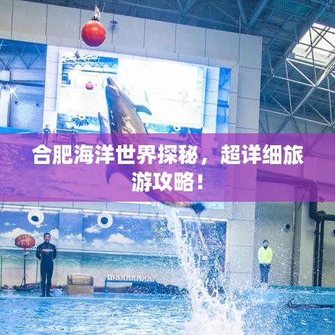 合肥海洋世界探秘，超詳細(xì)旅游攻略！