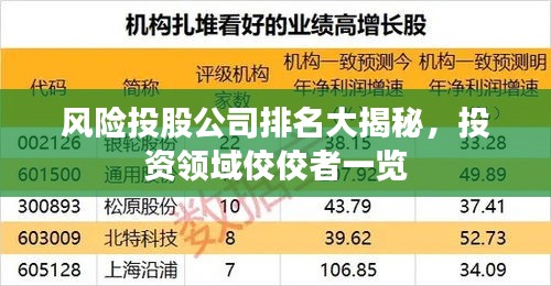 風(fēng)險投股公司排名大揭秘，投資領(lǐng)域佼佼者一覽
